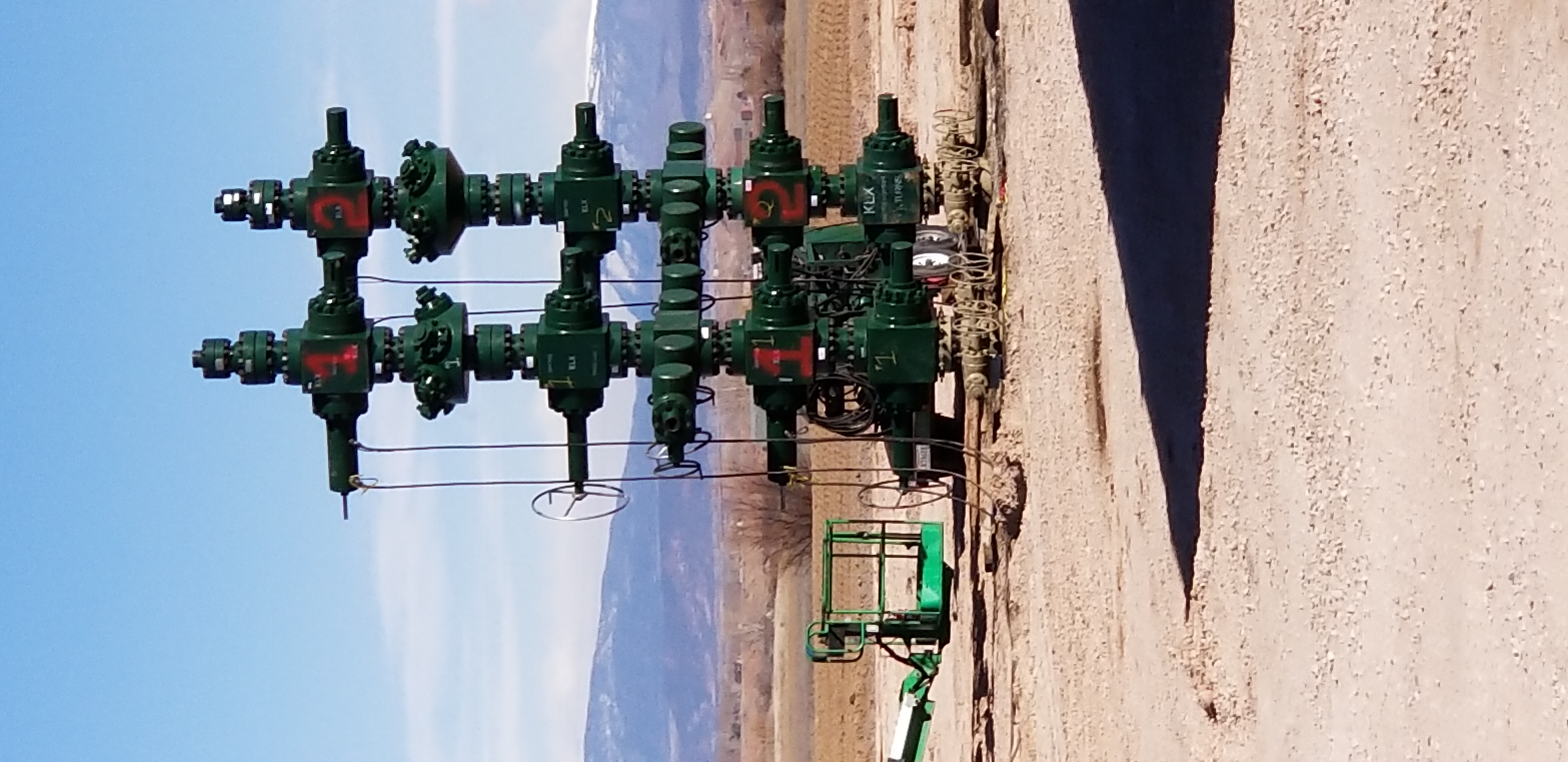 Critical minerals processing